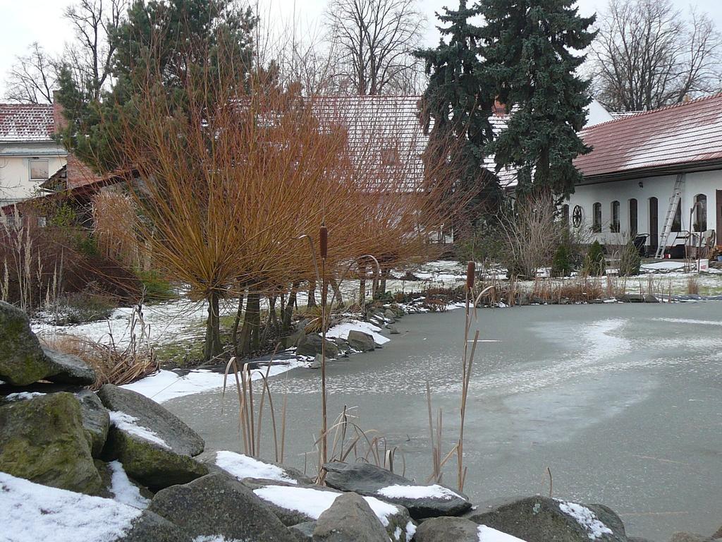 La Ferme De Sissi Apartment Smrzice Exterior photo