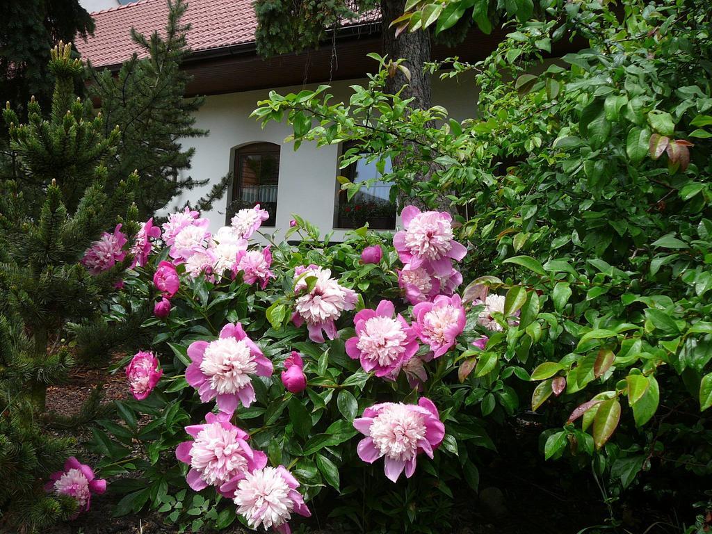 La Ferme De Sissi Apartment Smrzice Exterior photo